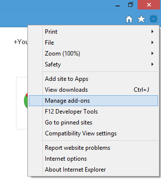 IE options menu