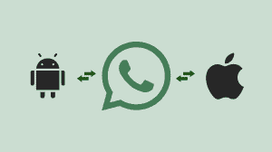 WhatsApp Chat Transfer