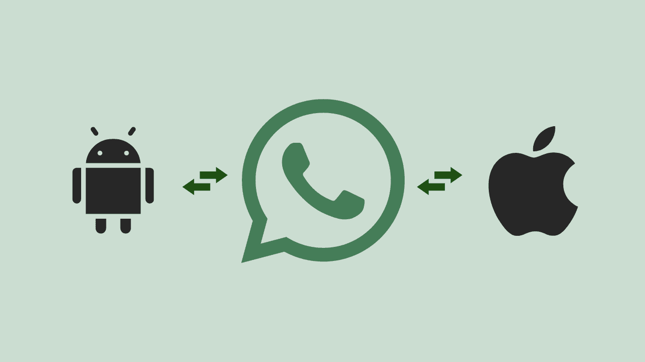 WhatsApp Chat Transfer